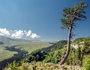 Лагонаки — это часть гор Западного Кавказа в междуречье Белой и Пшехи