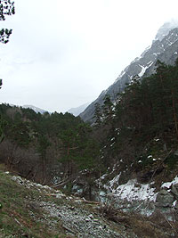 Караугом, Дигория, Цей (Центральный Кавказ)